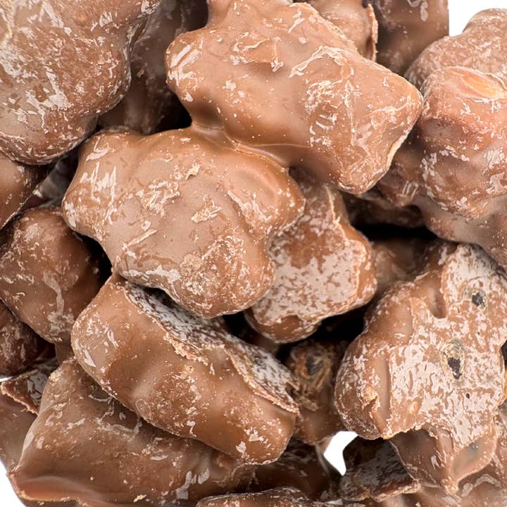 Martin's Country Store LLC - Wholesale Chocolate - CHOCOLATE COVERED GUMMY BEARS 9.9oz1