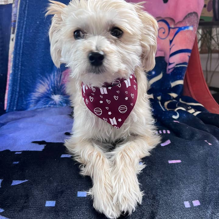 Mood: Daydreaming - Vente Bandana – chien - Bandana BTS Hearts pour animaux1