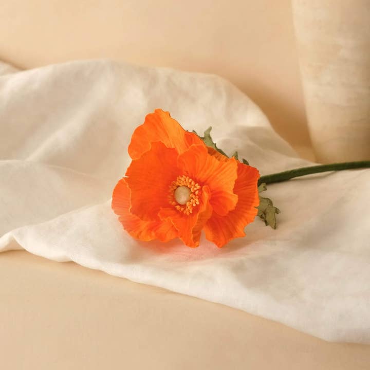 Poppy in orange paper for wholesale by Flowrette