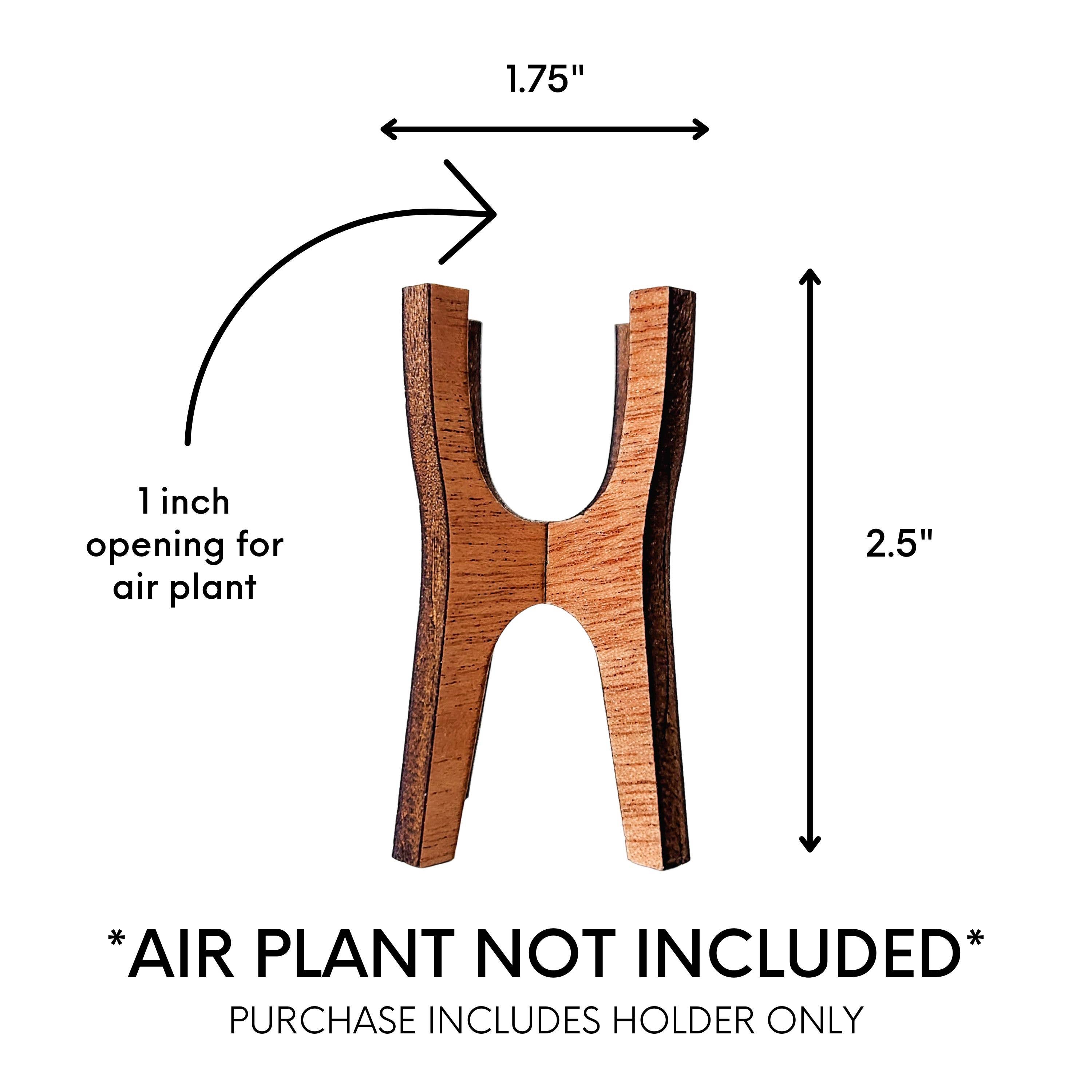 Leaf & Node - Wholesale Plant Pot Stand - MCM Air Plant Display Stands - Wooden Holder3