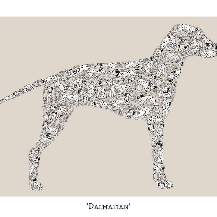 Dalmatian for wholesale by Louise Tate Illustration