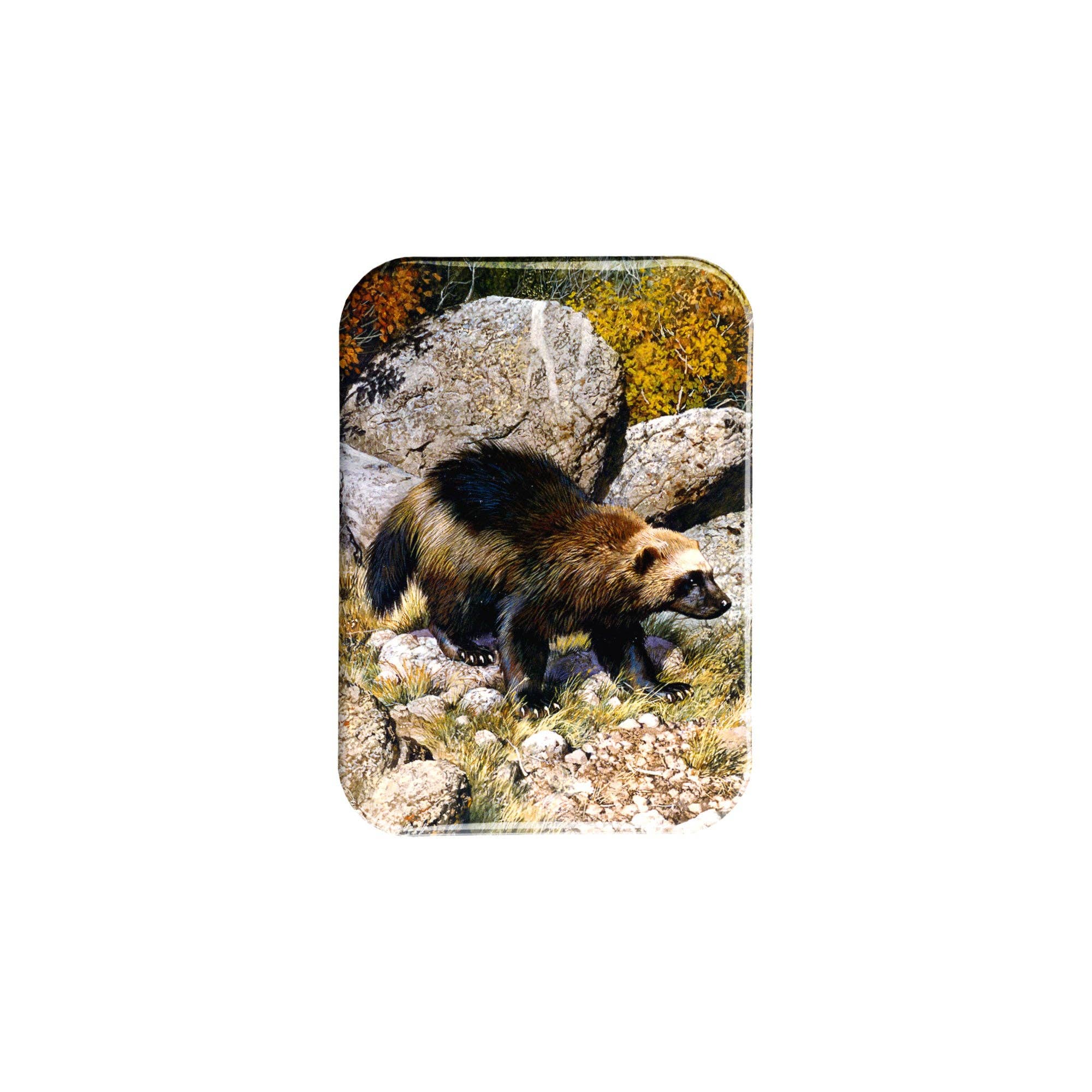 Airstrike - Wholesale Magnet - "Wolverine" - 2.5" X 3.5" Rectangle Fridge Magnets