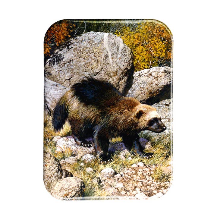 Airstrike - Wholesale Magnet - "Wolverine" - 2.5" X 3.5" Rectangle Fridge Magnets0