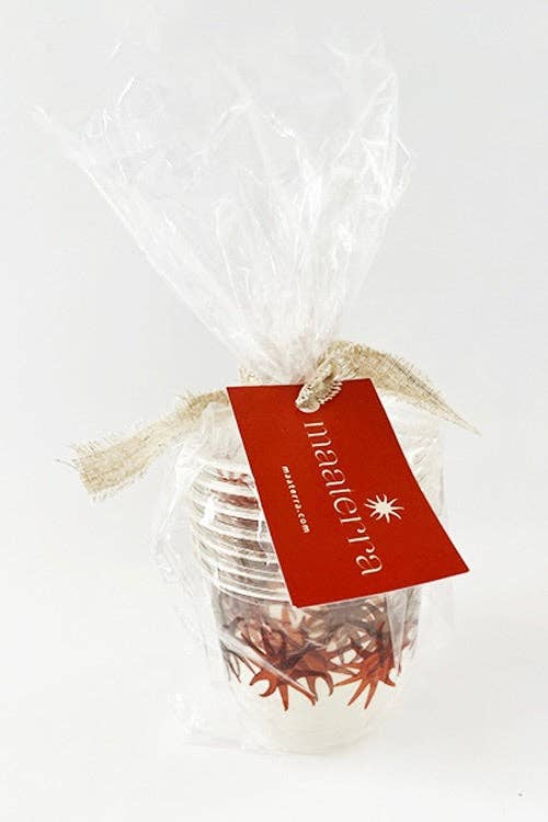 maaterra - Wholesale Disposable Cup - Compostable Cups 12oz - maaterra Sun design4