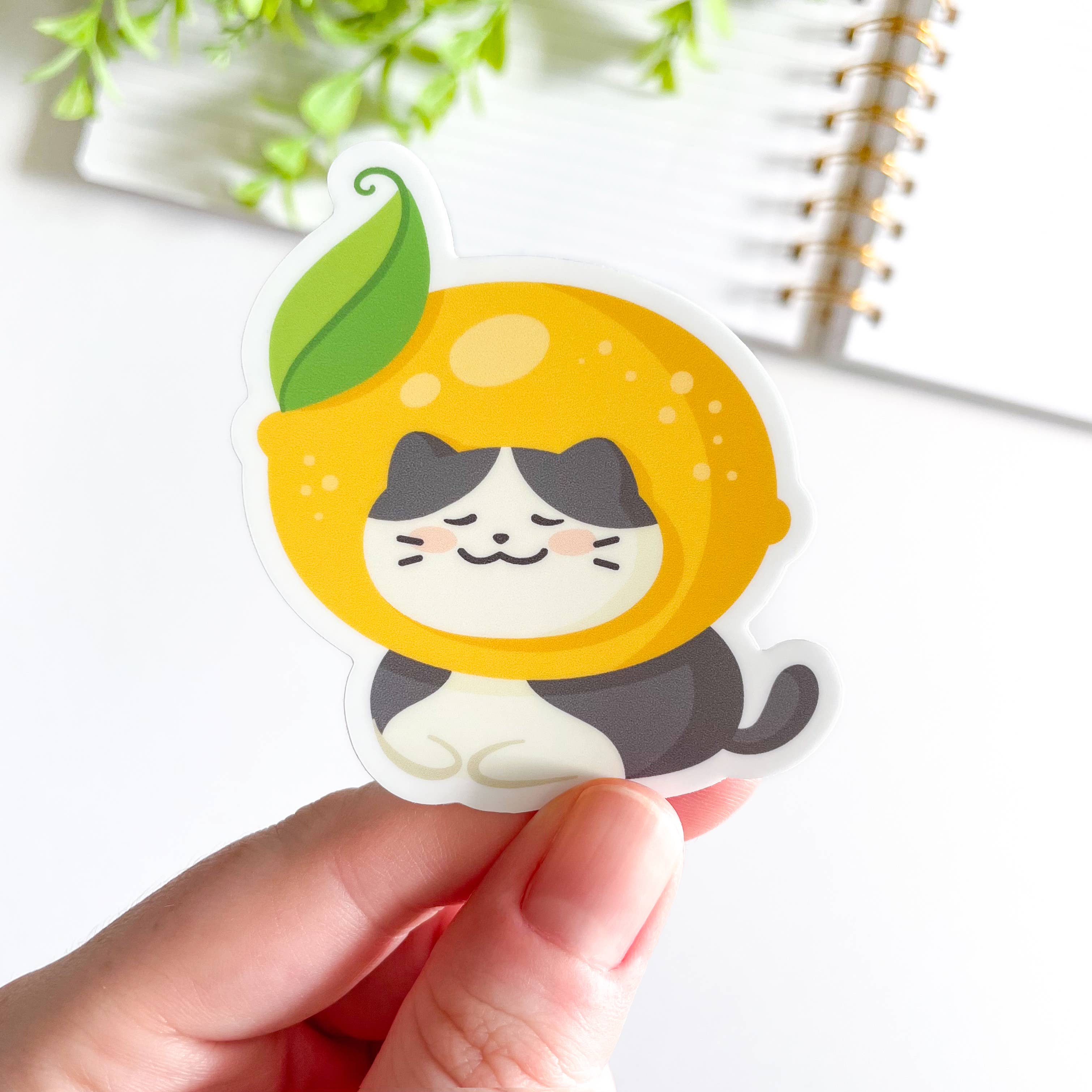 Studious Owl Press - Wholesale Sticker - Cute Fruit Hat Cat Waterproof Matte Vinyl Sticker2