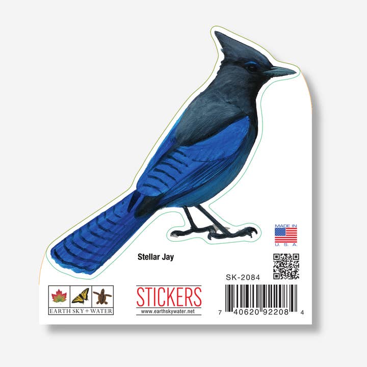 Steller's Jay Nature Sticker, 3.5" wide for wholesale by Earth Sky + Water
