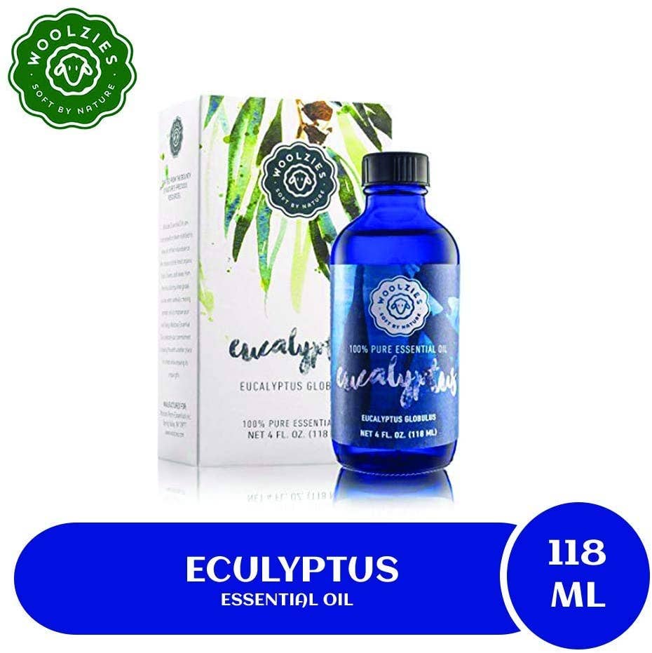 Woolzies - Wholesale Essential Oil - Eucalyptus Essential Oil3
