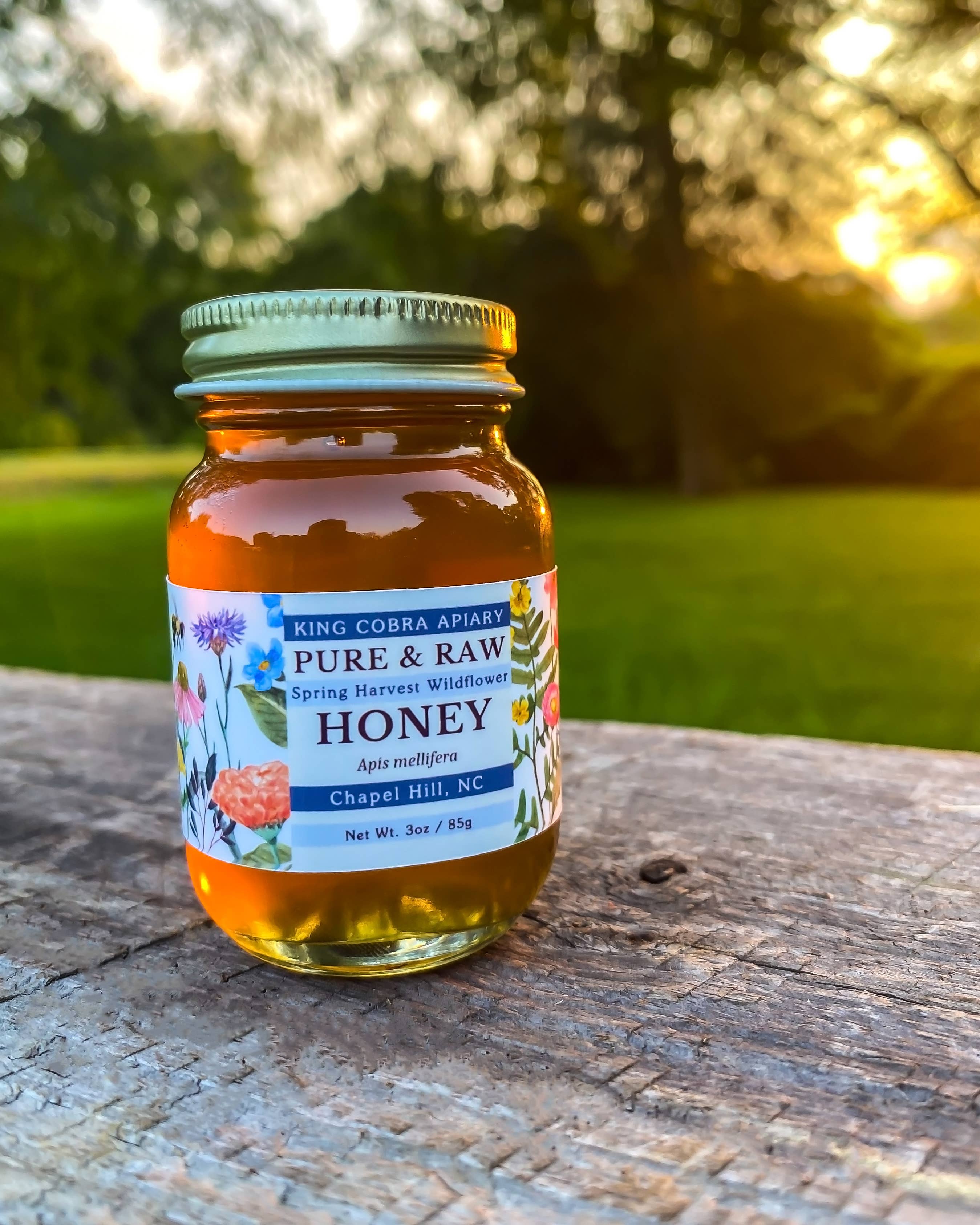 King Cobra Apiary Honey - Wholesale Honey - North Carolina Local Honey - 3 oz Glass Jar - Raw Wildflower3