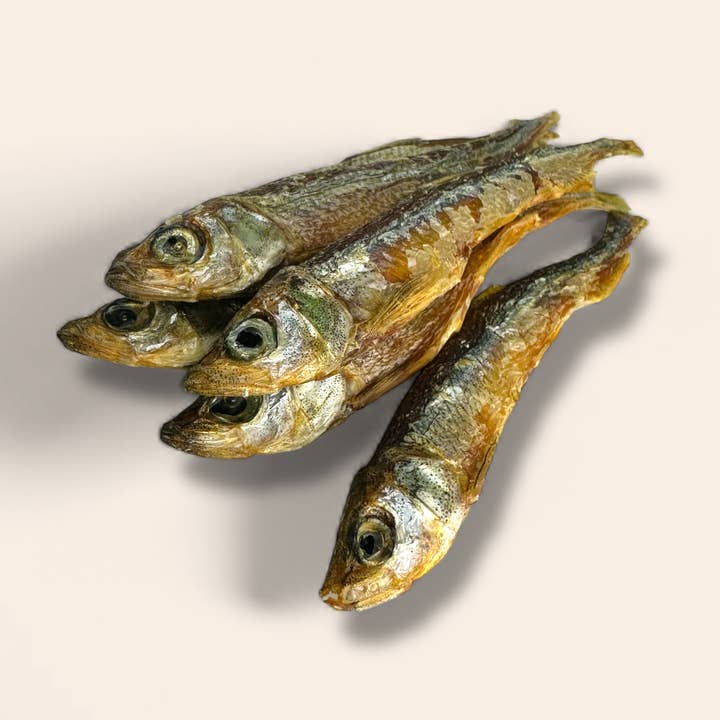 Bianchetti per la vendita all'ingrosso da parte di Woofing Wonders