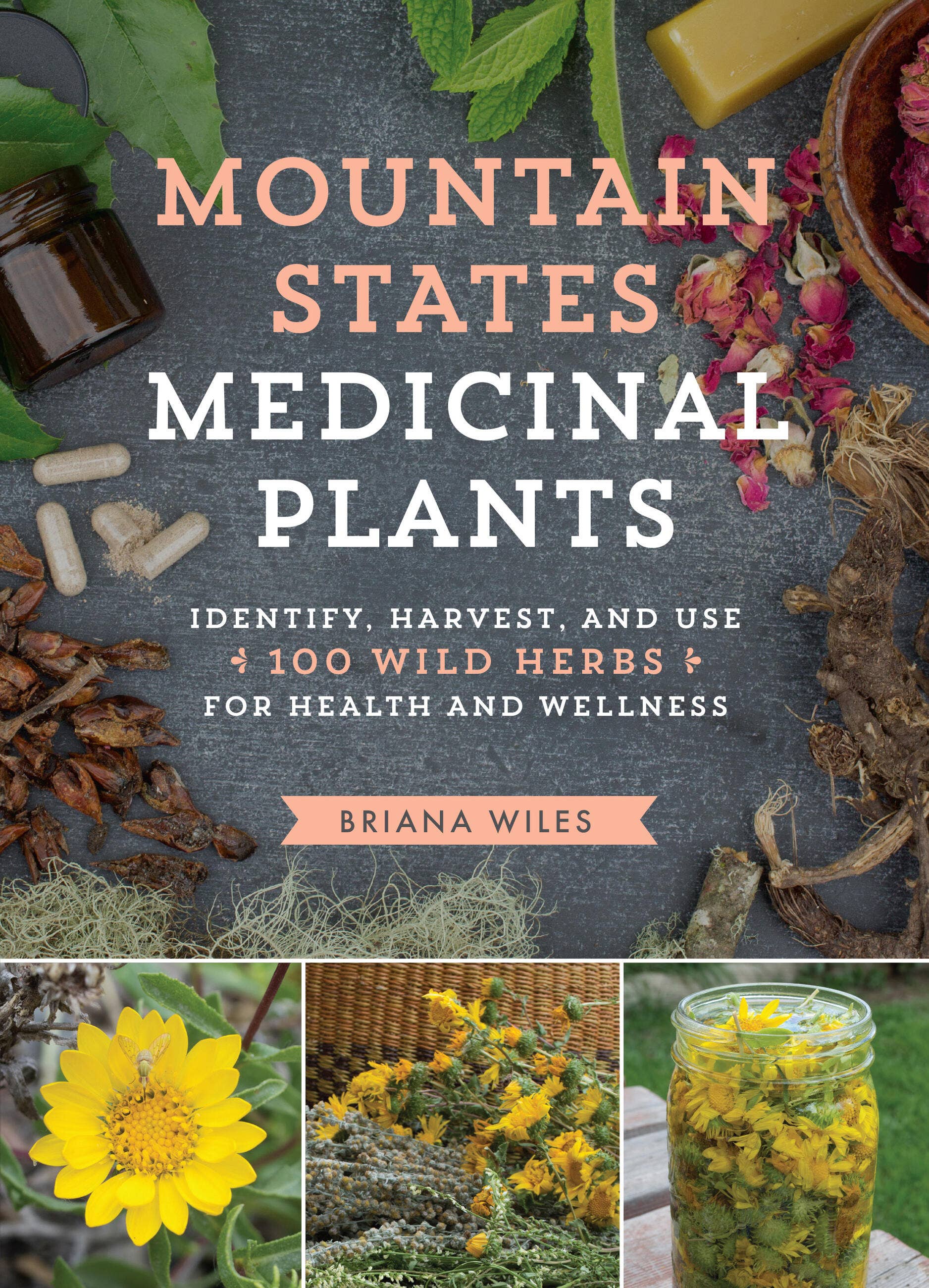 Hachette Book Group - Wholesale Nature & Outdoors - Mountain States Medicinal Plants0