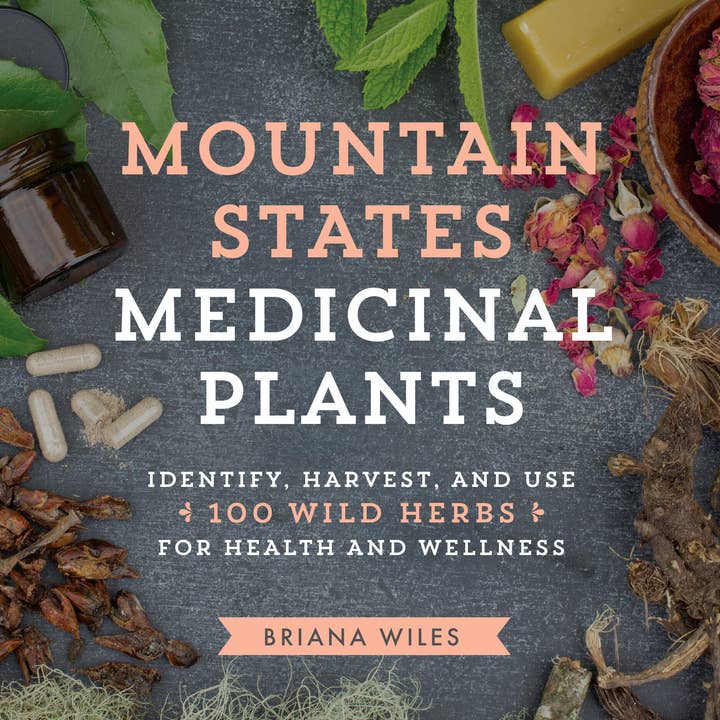 Hachette Book Group - Wholesale Nature & Outdoors - Mountain States Medicinal Plants0