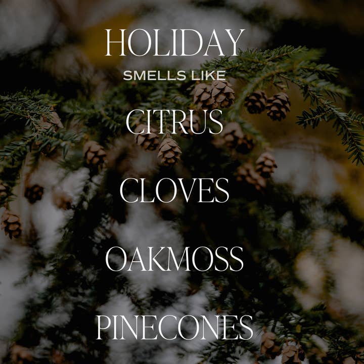 Sweet Water Decor - Wholesale Jar/Filled Candle - Holiday 9 oz Soy Candle - Christmas Home Decor & Gifts