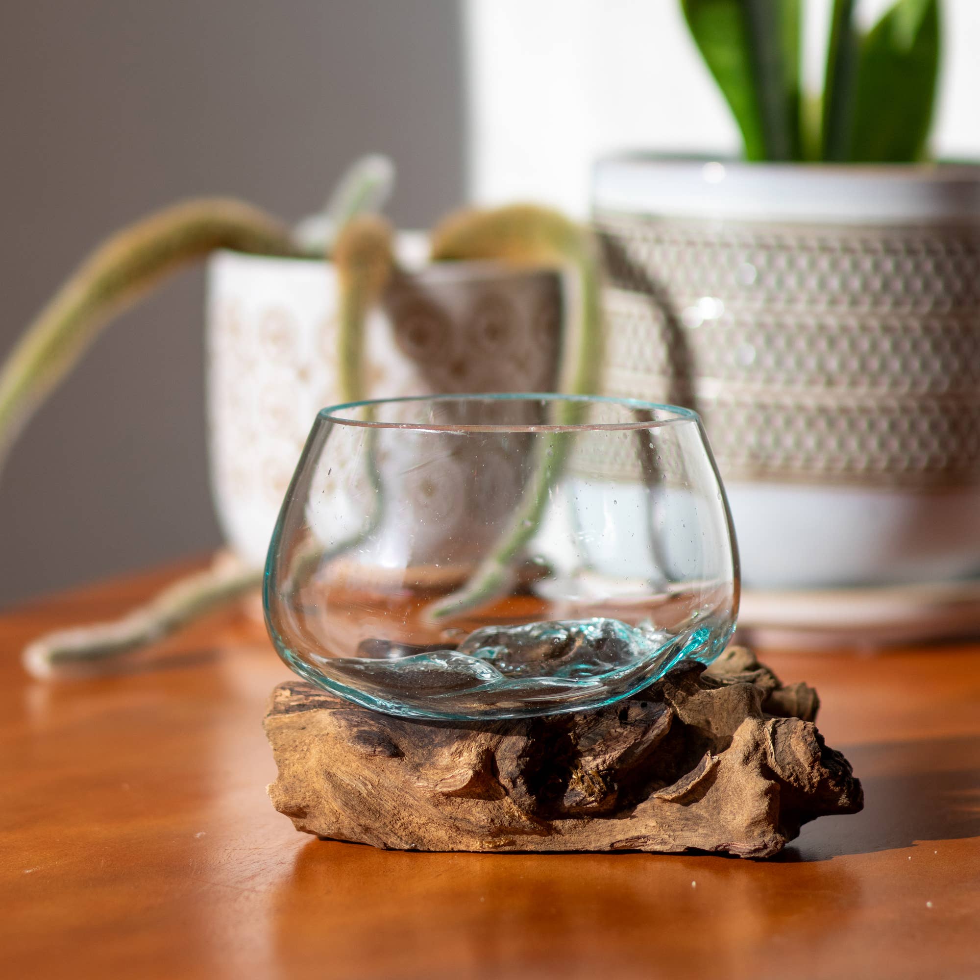 Cohasset Gifts - Wholesale Terrarium - 5" Open Mouth Molten Glass Terrarium