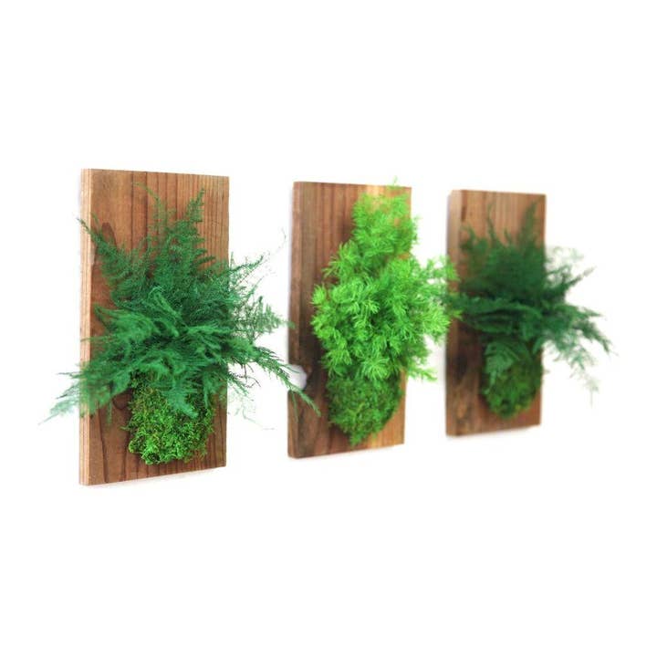 Set of 3 Fern & Moss Reclaimed Wood Flats for wholesale by Artisan Moss
