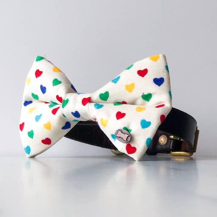 Noeud papillon The Colour of Love pour chien pour la vente par The Distinguished Dog Company Ltd