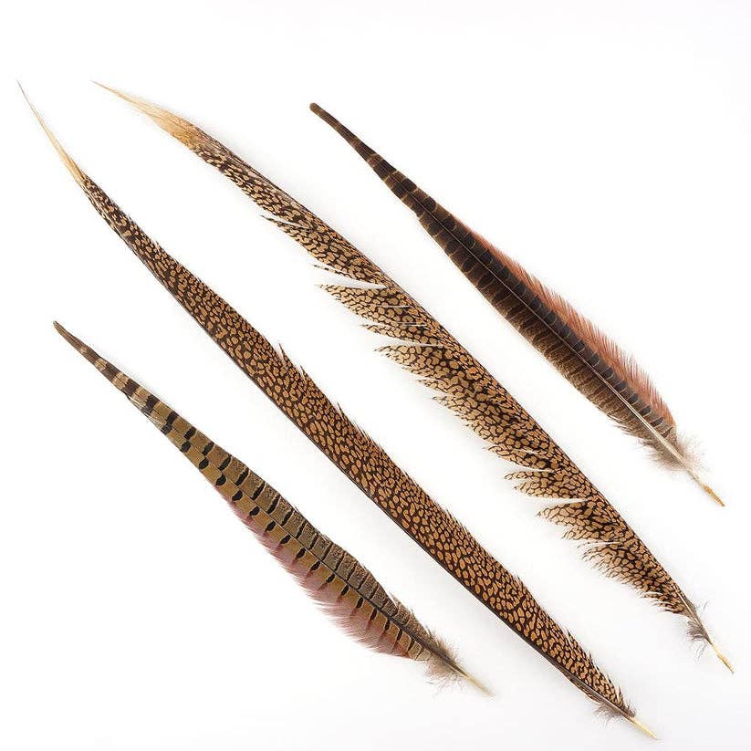 Zucker Feather Products - Wholesale Feathers - Pheasant Tails Assorted Natural -16-30"1