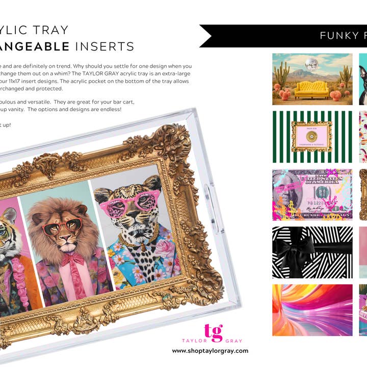 TAYLOR GRAY - Wholesale Decorative Tray - 11x17 FUNKY FINDS insert set of 1011