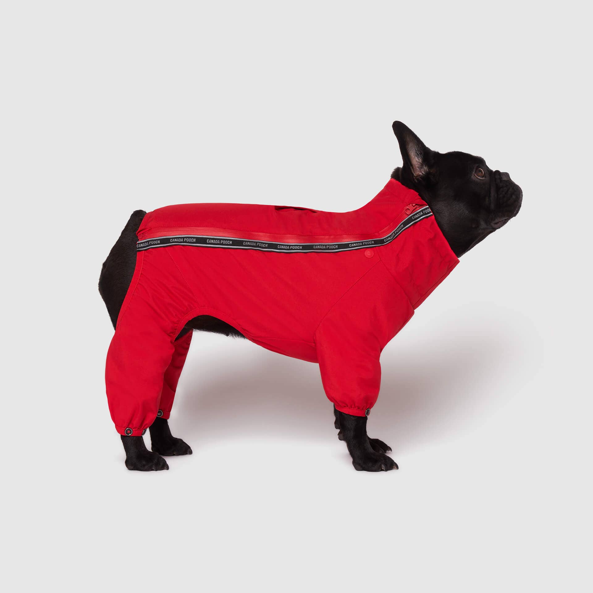 Canada Pooch - Wholesale Pet Bodysuit - Cat/Dog - The Snow Suit- Dog Suit3