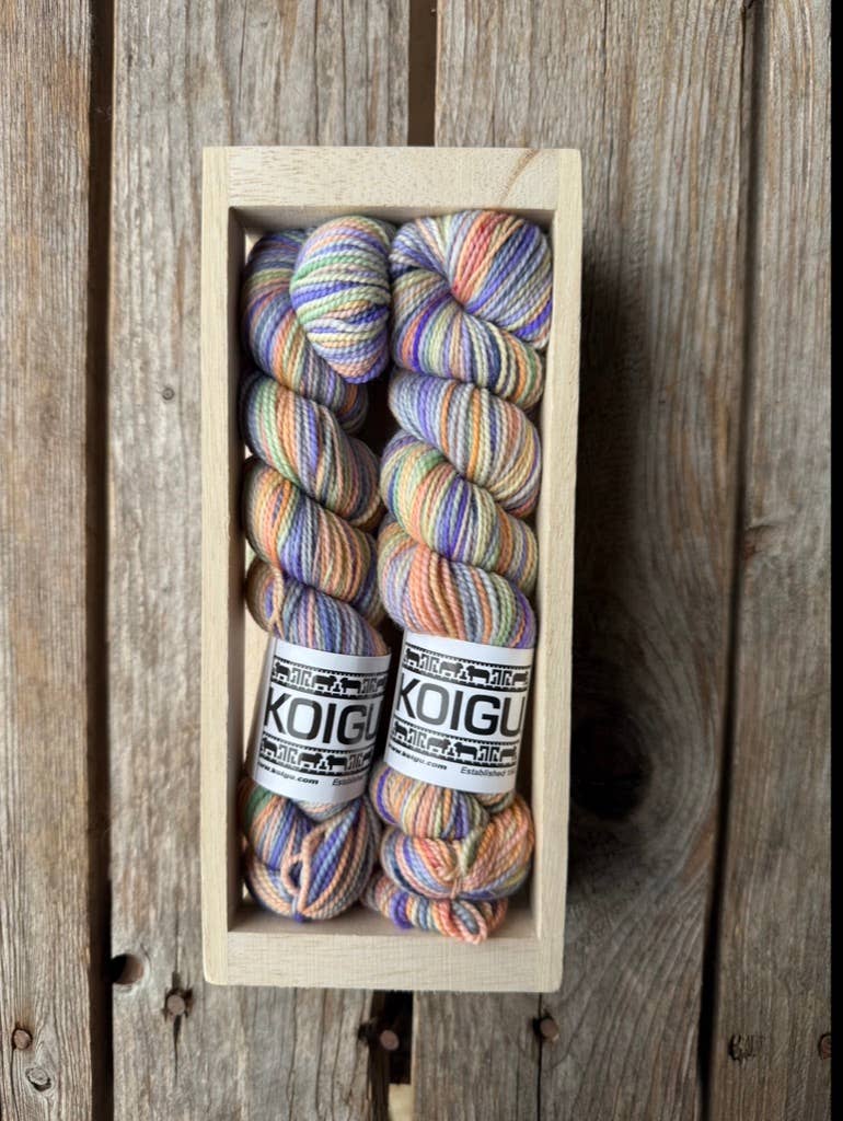 Koigu Wool Designs - Wholesale Yarn - Koigu Sock Crate13