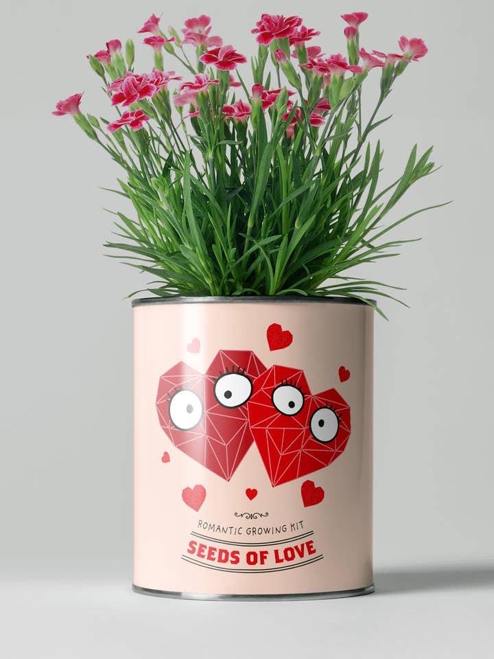 Seeds of Love. Eco Grow Your Own Plant Kit. for wholesale by The Plant Gift Co.