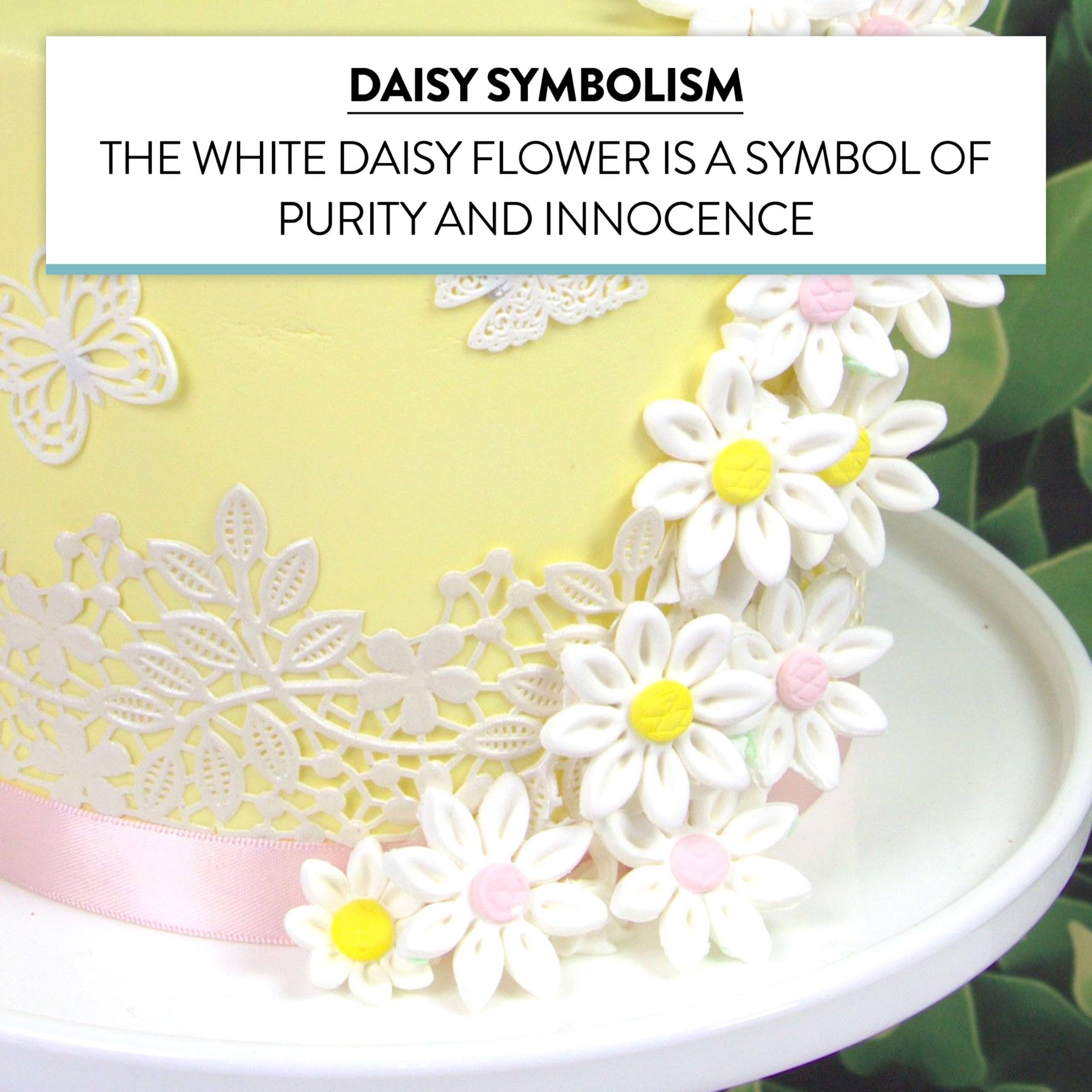 Global Sugar Art - Wholesale Cake/cupcake topper - Edible Daisy Cake Decorations, White and Pink Sugar Flowers, Unwired 1 Inch, Daisy Cupcake Toppers, Edible Flowers Cake Decorations by Chef Alan Tetreault, Global Sugar Art4