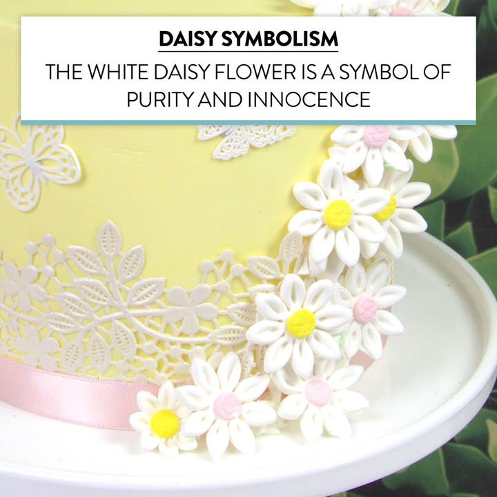 Global Sugar Art - Wholesale Cake/cupcake topper - Edible Daisy Cake Decorations, White and Pink Sugar Flowers, Unwired 1 Inch, Daisy Cupcake Toppers, Edible Flowers Cake Decorations by Chef Alan Tetreault, Global Sugar Art4