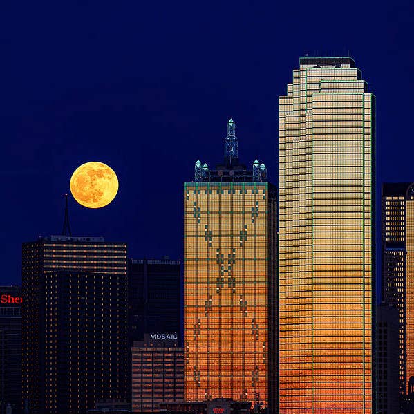 Dallas Texas Downtown Fine Art Prints DTD037 för wholesale av Breaking Rules Photography