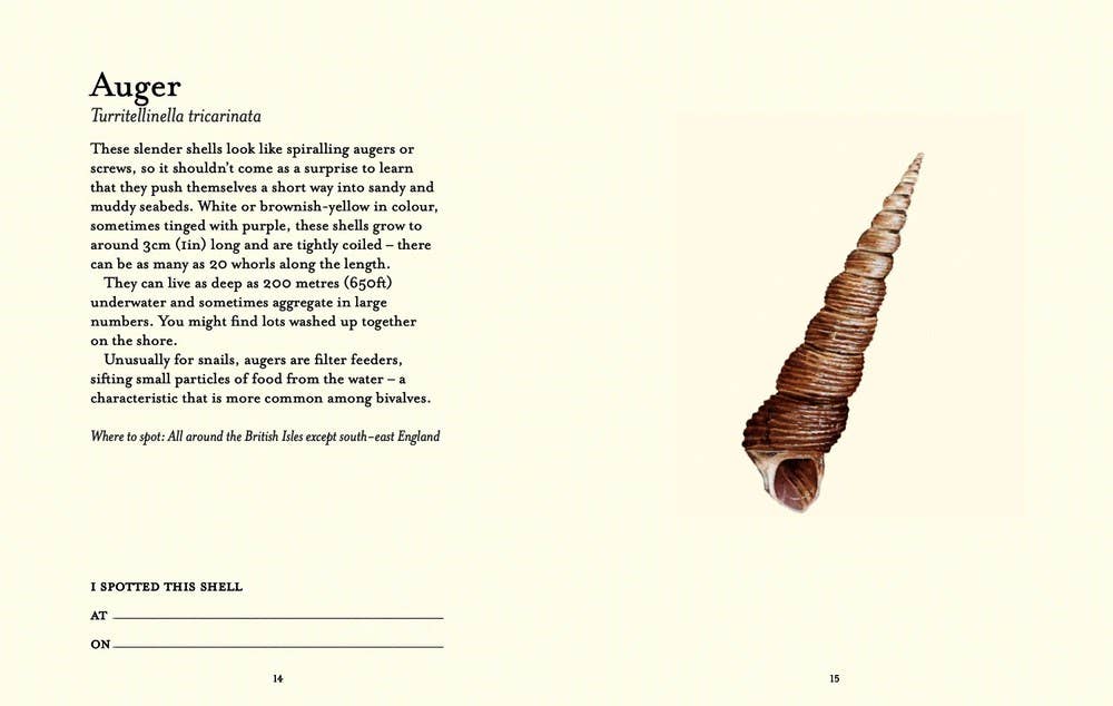 Independent Publishers Group - Wholesale Nature & Outdoors - Shell-spotter’s Guide4