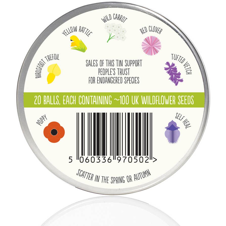 Seedball - Wholesale Plant Seeds - Hedgehog Mix Seedball Tin2