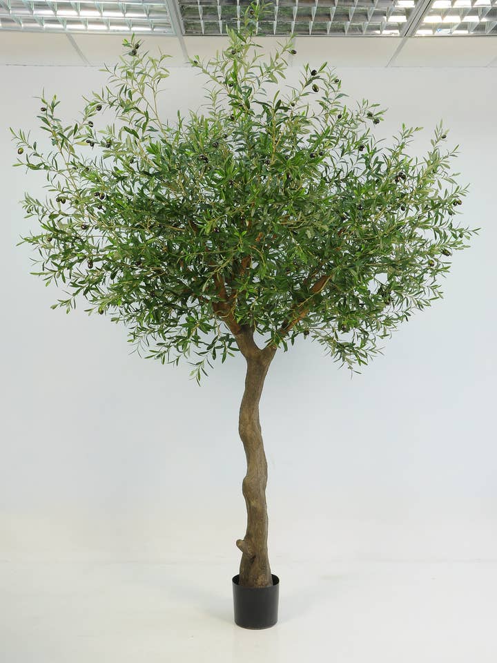 Olive Tree 9' 10064 Leaves 180 Olives Green for wholesale by Select Artificials, Inc.