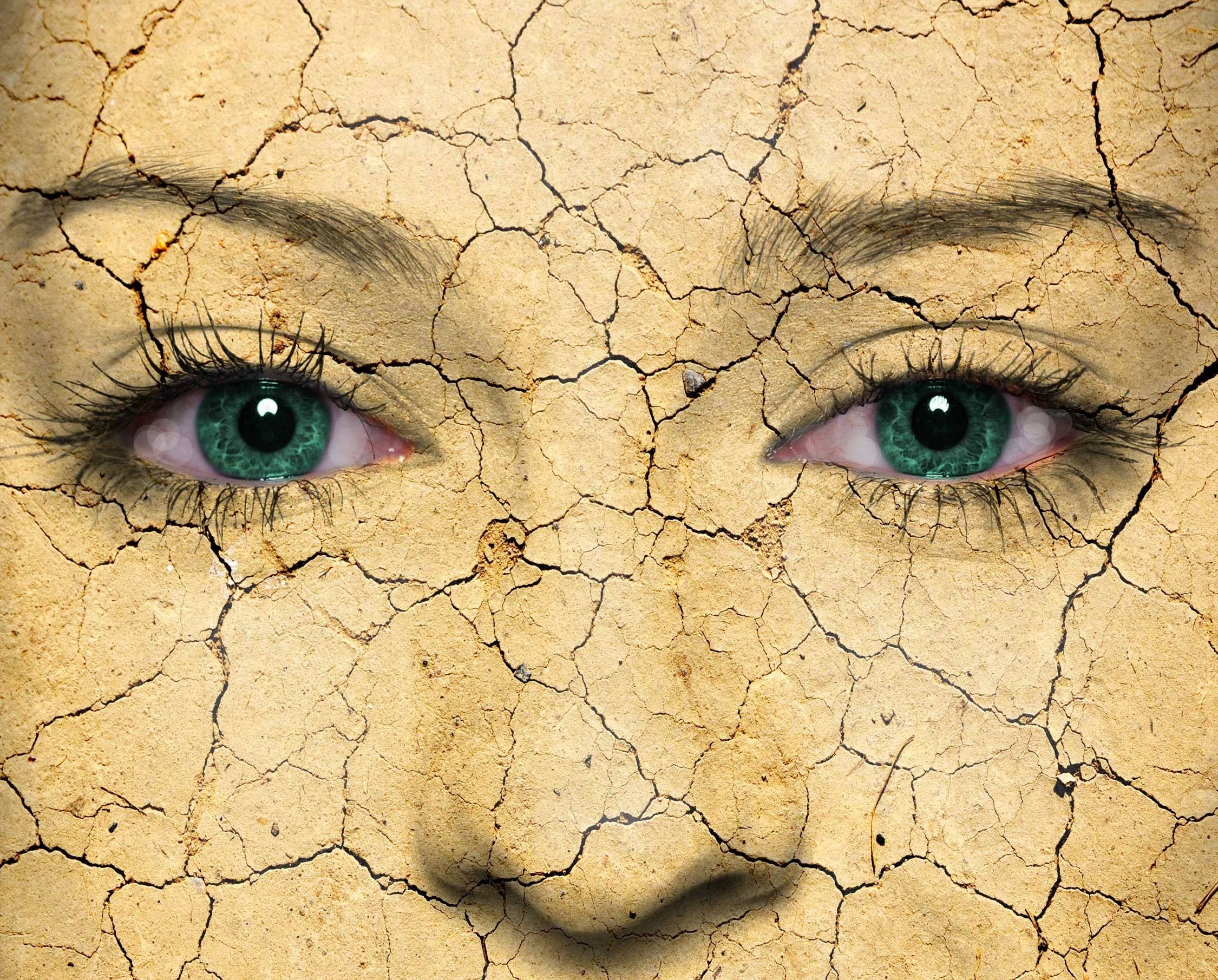 Voss Botanicals, LLC - Wholesale Healing Salve/Balm/Cream - Sunflower Salve | Dry Skin Salve | Heals Damaged Skin | Chapped Skin Salve | Vegan | Wild Orange | Cuticle Oil | Gift For Her | Winter Aid7