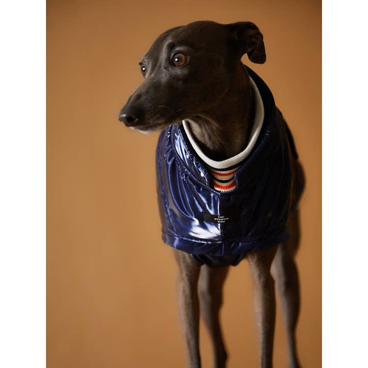 The Striped Dog – wholesale Hundjacka - Hund – Italiensk vinthund/Whippet Blå Vattentät Turtleneck Jacka RUE