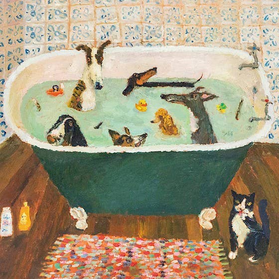 Bath Time for wholesale by Paper Bird Publishing