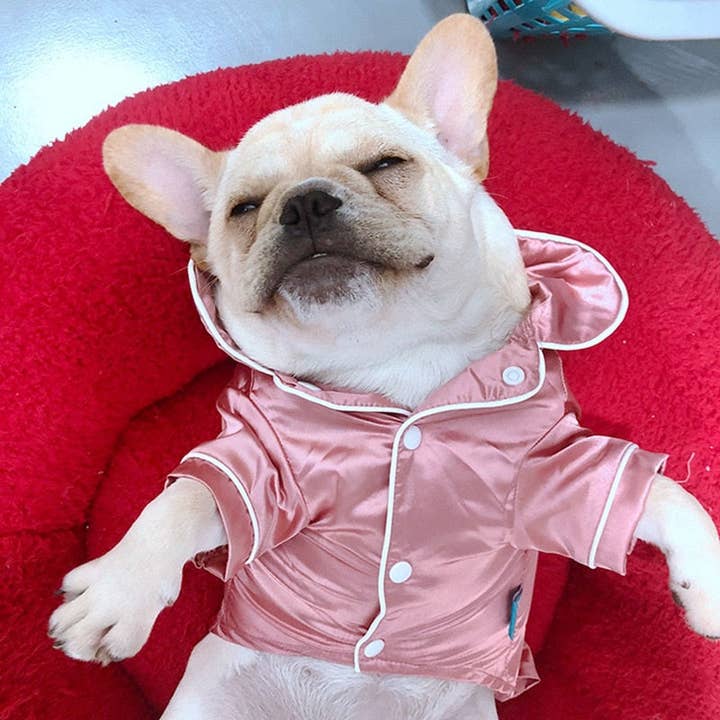 Furr-Baby Gifts - Wholesale Pet Blanket - Dog - Luxury Soft Silk Pajamas