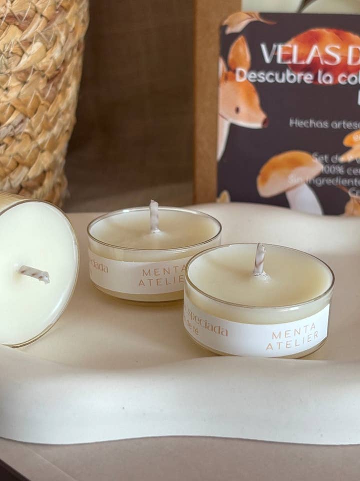 Sample set "Discover the Mist Collection" for wholesale by Menta Atelier