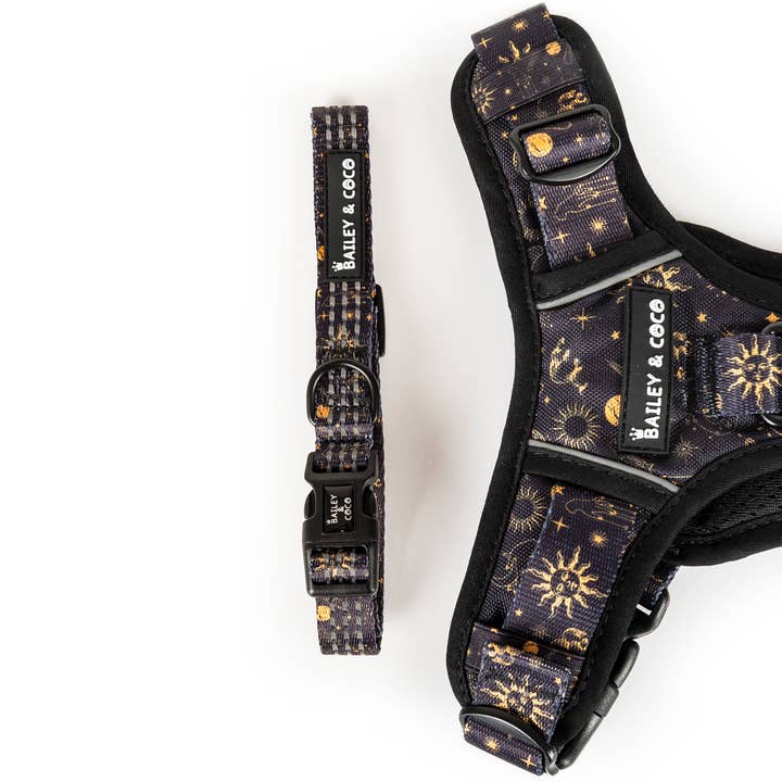 Bailey and Coco - Wholesale Pet Collar - Dog - Trail & Glow® Collar - Celestial