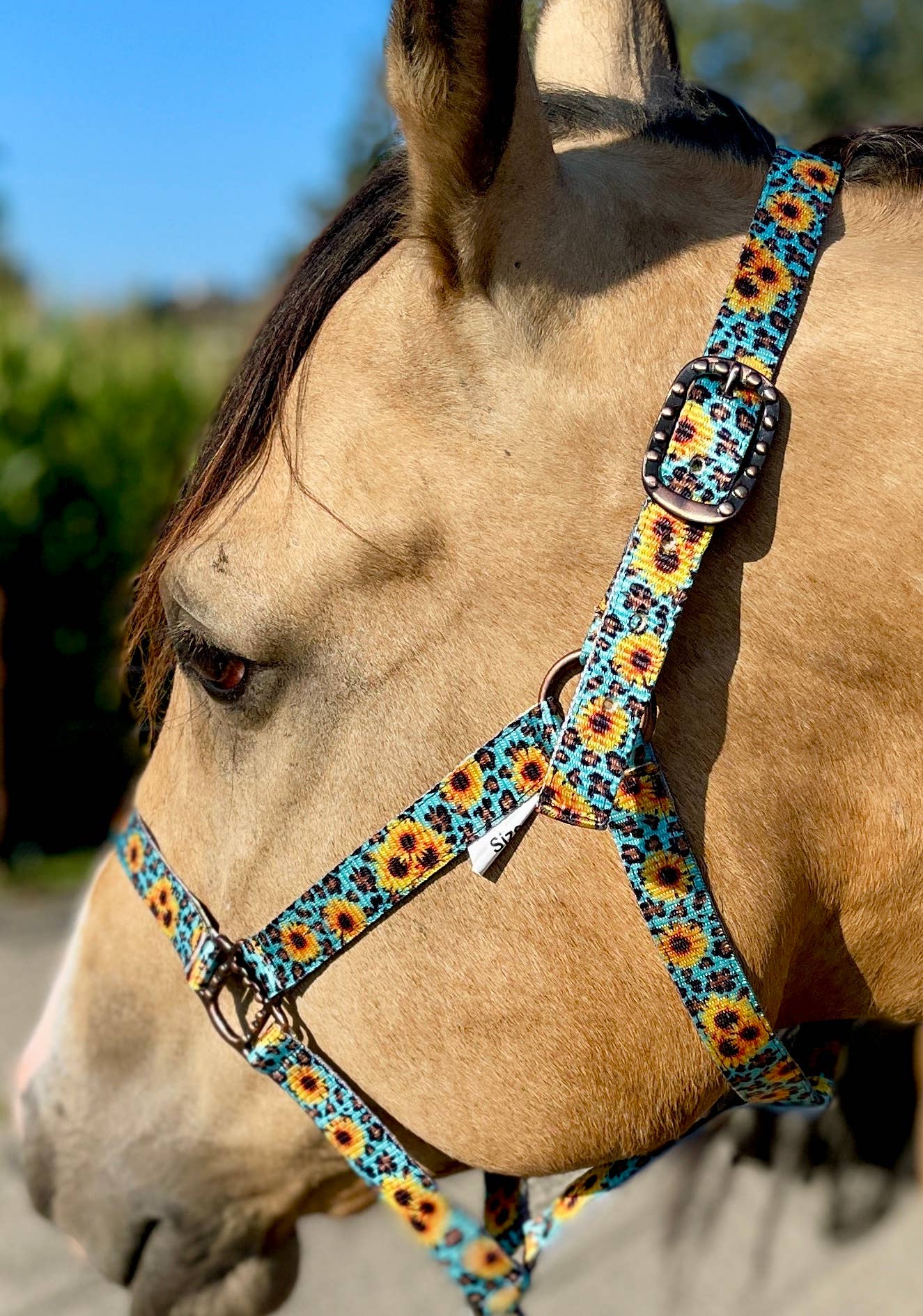 Schulz Equine - Wholesale Horseback Riding Gear - Nylon Halter - Horse Size6