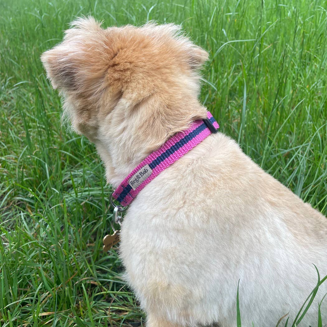 Reg&Bob - Wholesale Pet Collar - Dog - Reg&Bob Collar Pink stripe2