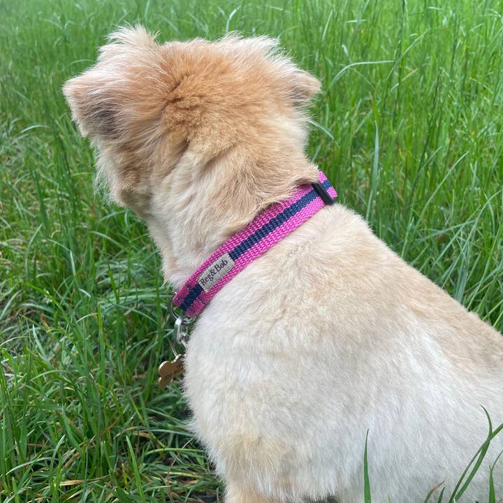 Reg&Bob - Wholesale Pet Collar - Dog - Reg&Bob Collar Pink stripe2