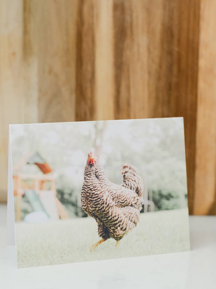 Questioning Chicken - Fine Art Note Card for wholesale by Ashley Cadrin Local Imagery