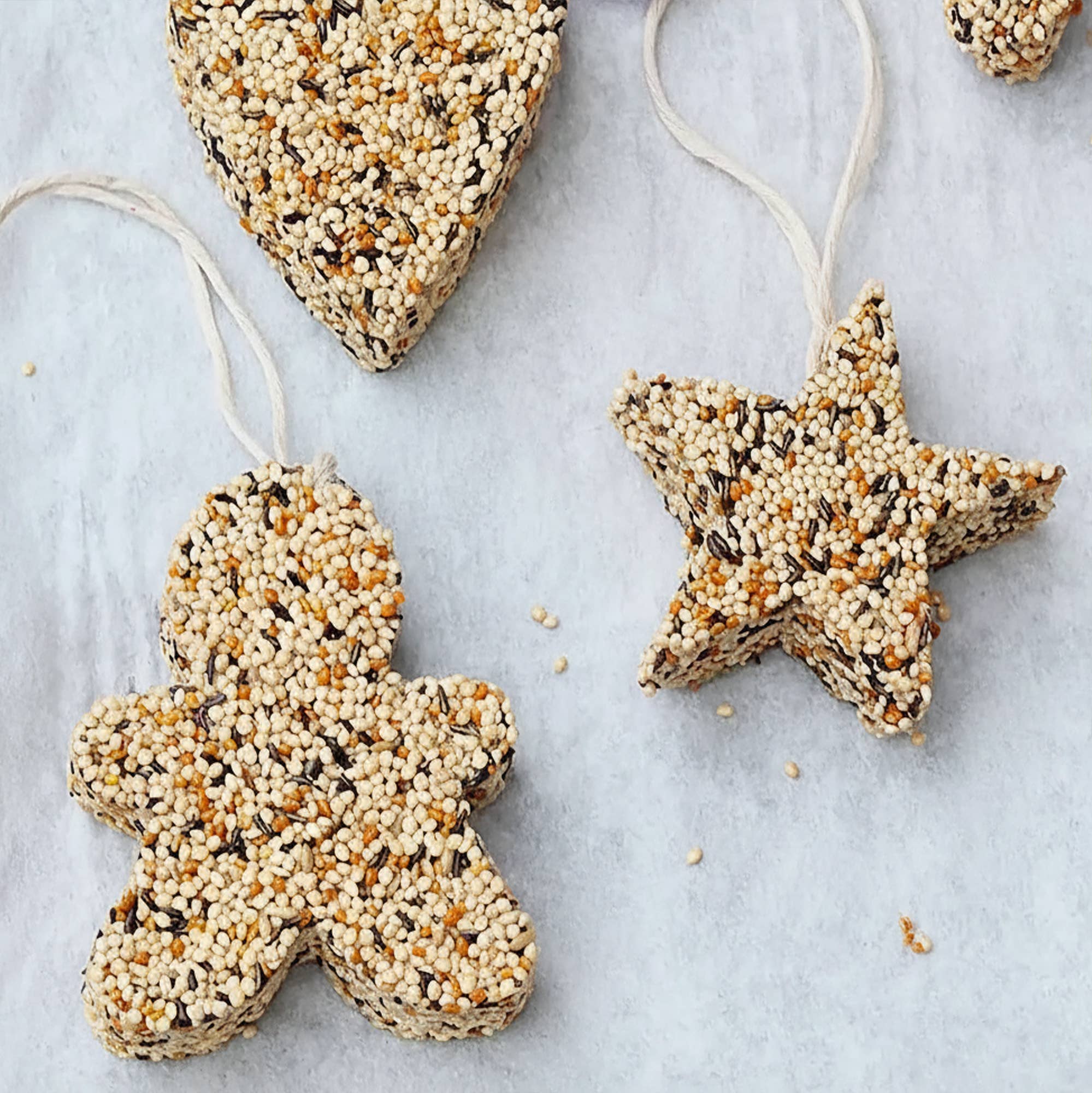 Mr. Sogs - Wholesale DIY Craft Kit - Tweet Treat Birdseed Feeder DIY Kit5