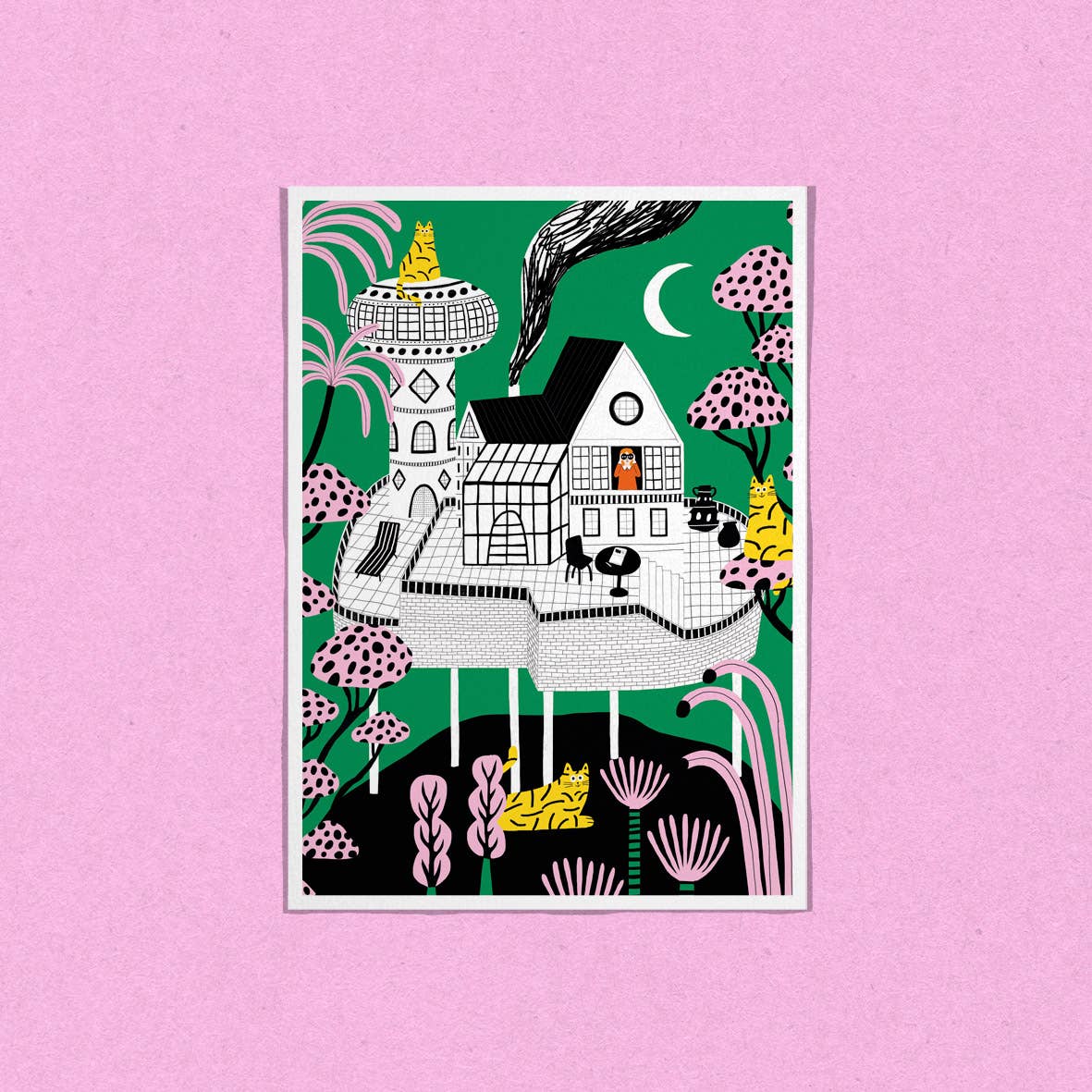 Dans Les Dents - Wholesale Postcard - Postcard - THE GIRL ON THE HILL - CRT74