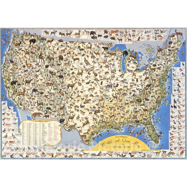 Picturale Wild- en Jachtkaart van de VS, 1956 voor wholesale door Historic Pictoric