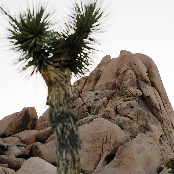 Tribe and True - Wholesale Throw Blanket - Wild Harmony // Handwoven Blanket4