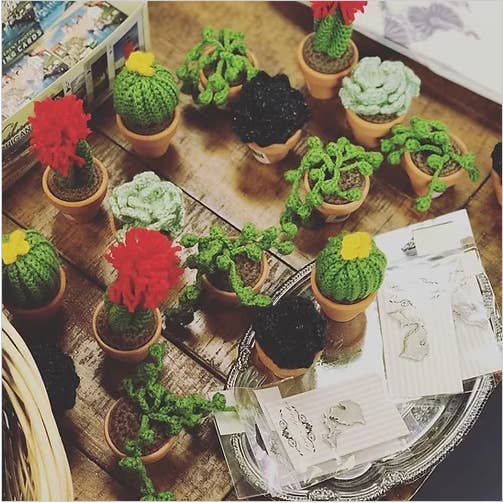 Rosemary's Baby MEK - Wholesale Decorative Tabletop Object - Crochet Mini Cactus Pots