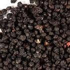 Sub Rosa Tea - Wholesale Loose Tea - Elderberry Syrup Kit Wellness Herbal Loose-leaf Tea1