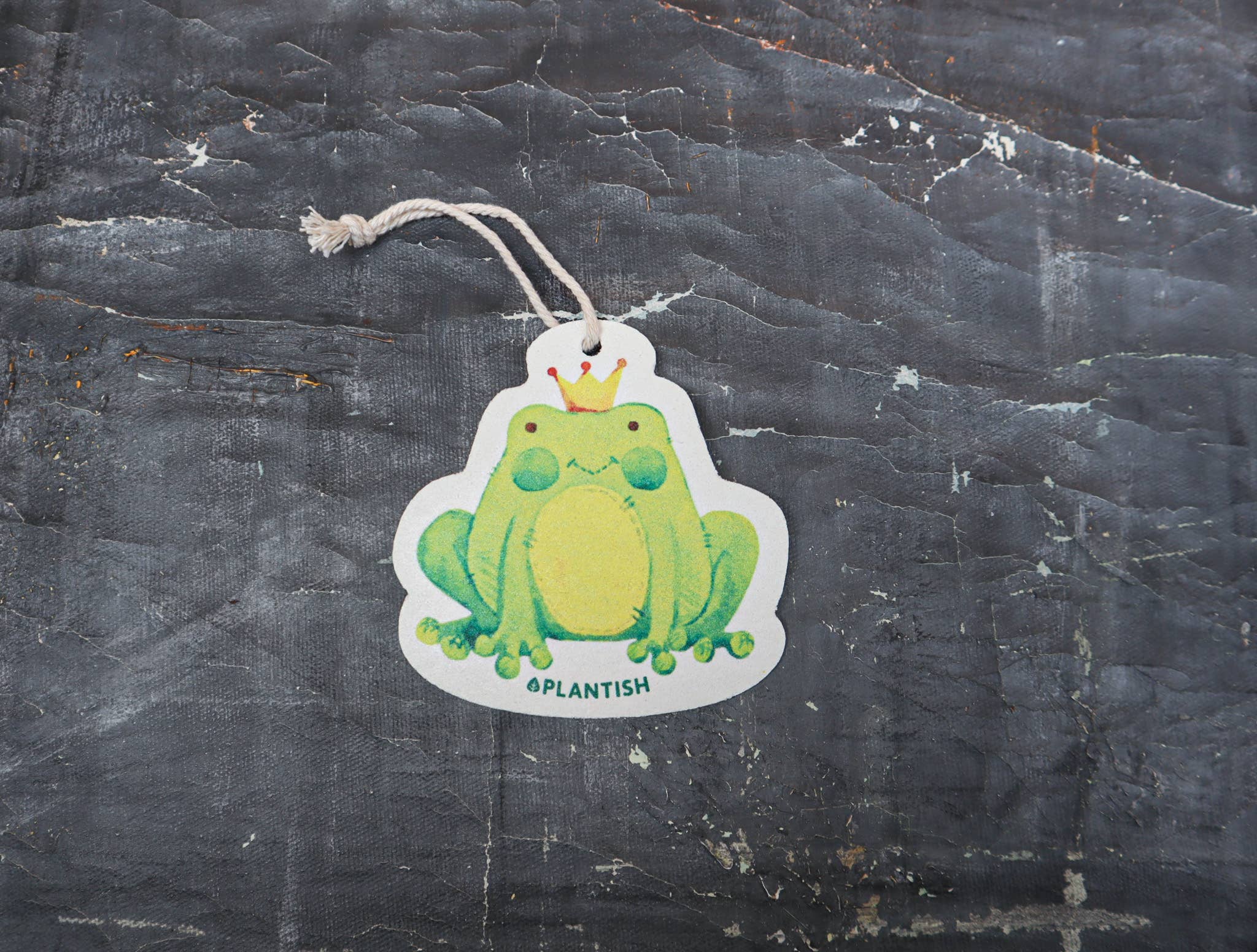 Plantish - Wholesale Cleaning Sponge - Frog - Pop up Sponge0
