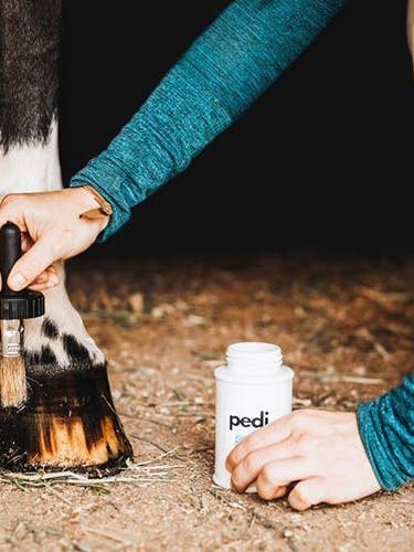 pedi. condicionador para casco (236 ml ou 473 ml) por atacado de The Infused Equestrian