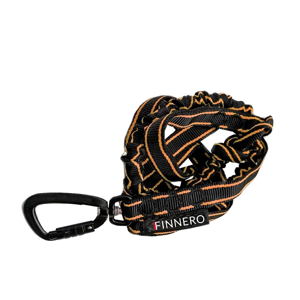 FINNERO - Vente Laisse – chien - Laisse élastique FINNERO POWER pour chien, 2 couleurs7