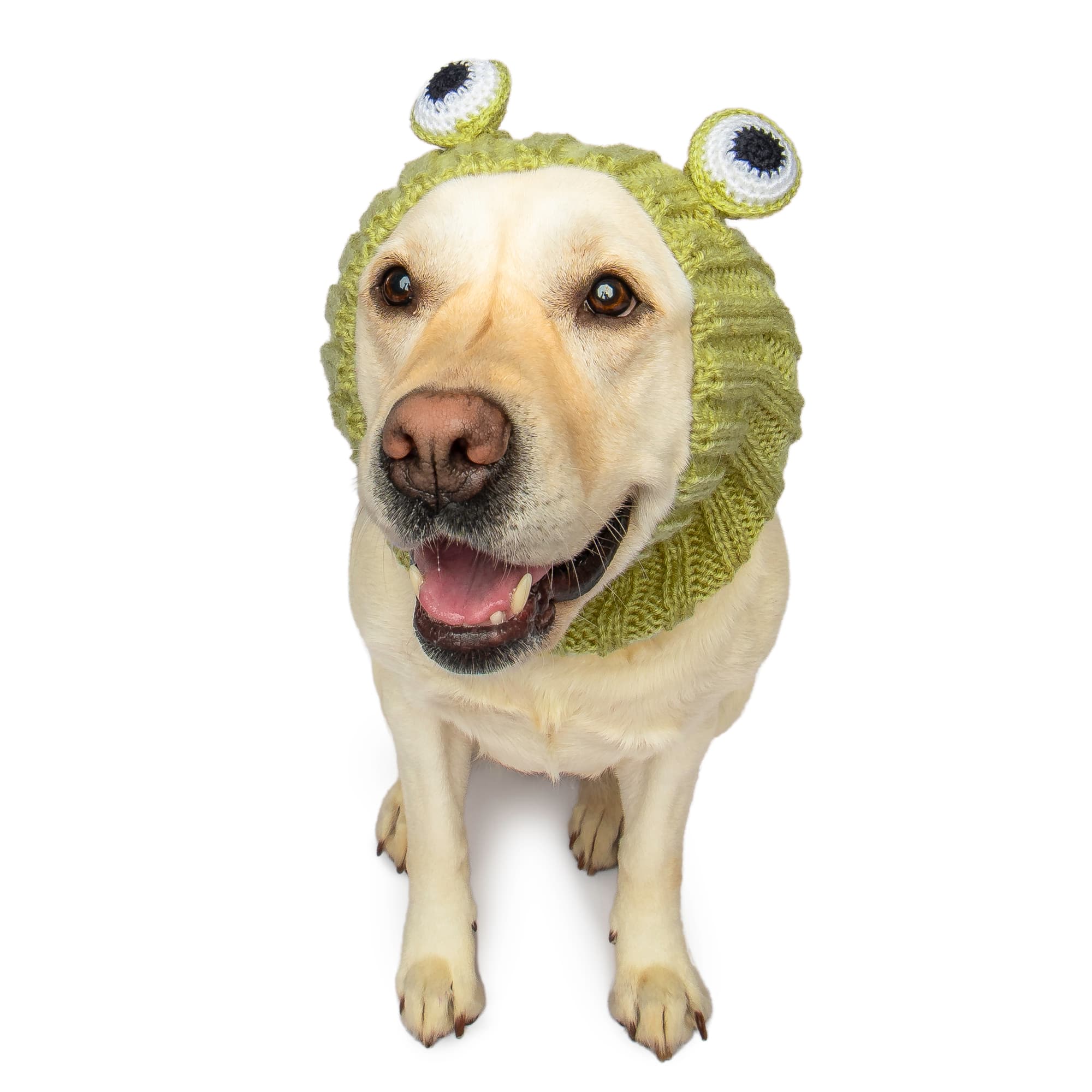 Zoo Snoods - Wholesale Pet Snood - Dog - Frog Dog Snood9